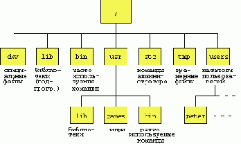 Структура корневого каталога